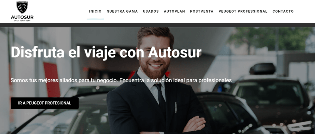 Autosur Peugeot Desarrollo Web