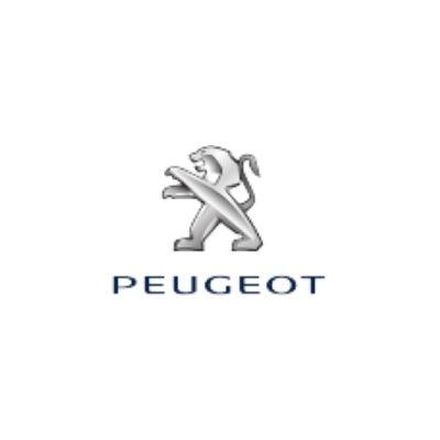 Digital Winds Logo Peugeot